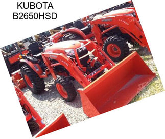 KUBOTA B2650HSD