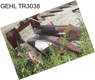 GEHL TR3038