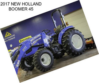 2017 NEW HOLLAND BOOMER 45