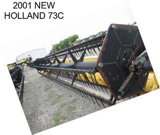 2001 NEW HOLLAND 73C