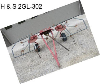 H & S 2GL-302