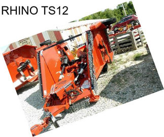 RHINO TS12