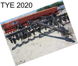 TYE 2020