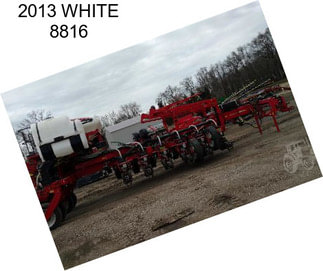 2013 WHITE 8816