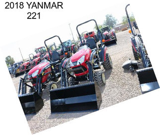 2018 YANMAR 221