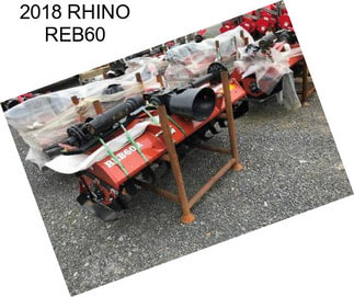 2018 RHINO REB60