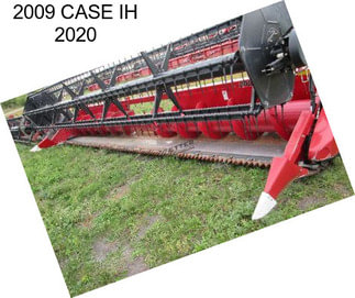 2009 CASE IH 2020