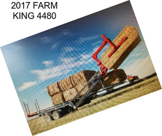 2017 FARM KING 4480