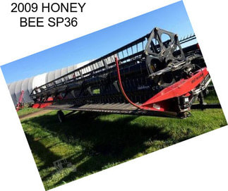 2009 HONEY BEE SP36