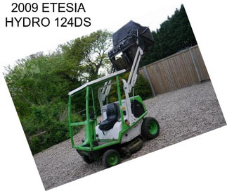 2009 ETESIA HYDRO 124DS