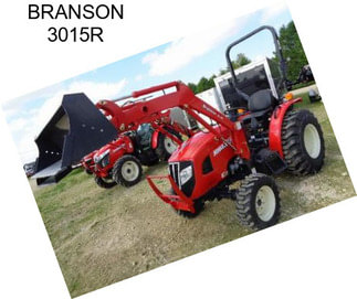 BRANSON 3015R