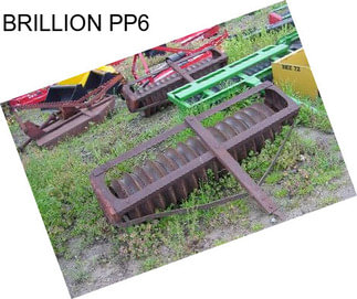 BRILLION PP6