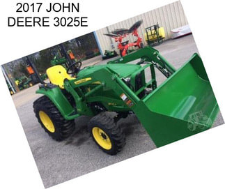 2017 JOHN DEERE 3025E