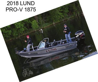 2018 LUND PRO-V 1875