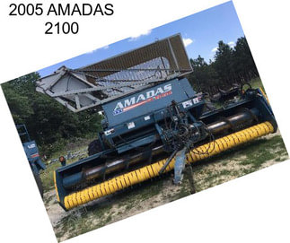 2005 AMADAS 2100