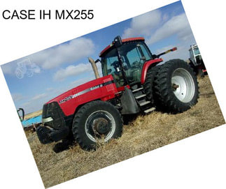 CASE IH MX255