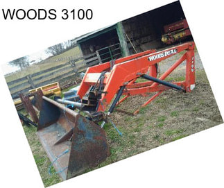 WOODS 3100