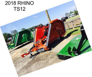 2018 RHINO TS12