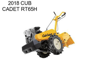 2018 CUB CADET RT65H