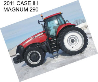 2011 CASE IH MAGNUM 290