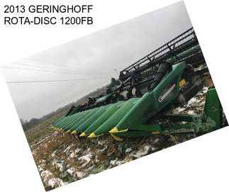 2013 GERINGHOFF ROTA-DISC 1200FB