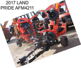 2017 LAND PRIDE AFM4211