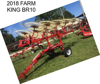 2018 FARM KING BR10