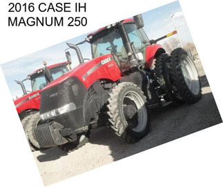 2016 CASE IH MAGNUM 250