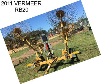 2011 VERMEER RB20