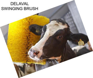 DELAVAL SWINGING BRUSH