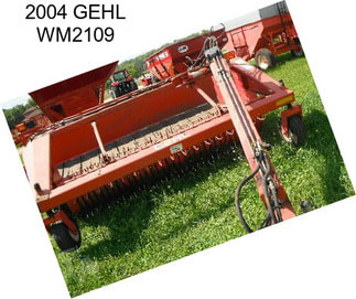 2004 GEHL WM2109