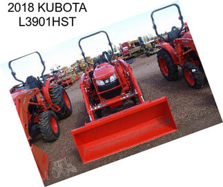 2018 KUBOTA L3901HST