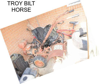 TROY BILT HORSE
