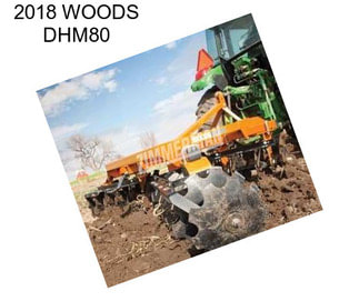 2018 WOODS DHM80