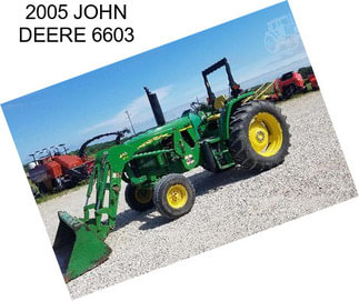 2005 JOHN DEERE 6603