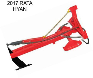 2017 RATA HYAN