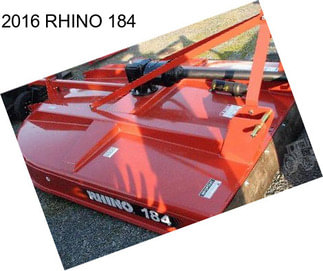 2016 RHINO 184