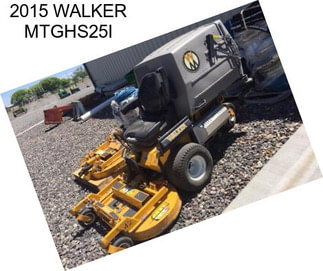 2015 WALKER MTGHS25I