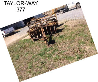 TAYLOR-WAY 377