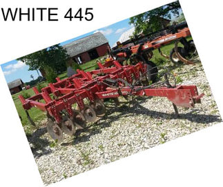 WHITE 445