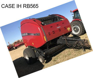 CASE IH RB565