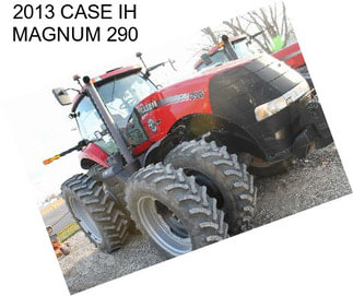 2013 CASE IH MAGNUM 290