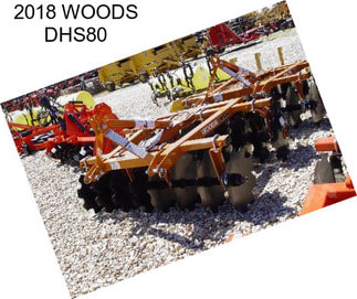 2018 WOODS DHS80