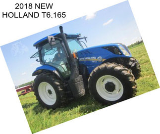 2018 NEW HOLLAND T6.165