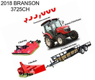 2018 BRANSON 3725CH