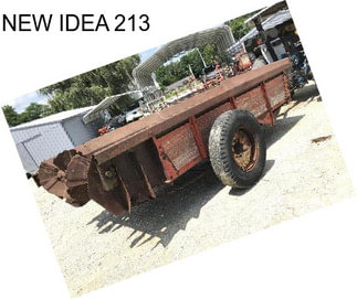 NEW IDEA 213