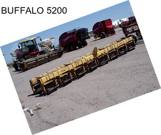 BUFFALO 5200