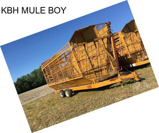 KBH MULE BOY