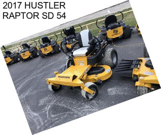 2017 HUSTLER RAPTOR SD 54