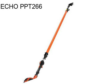 ECHO PPT266